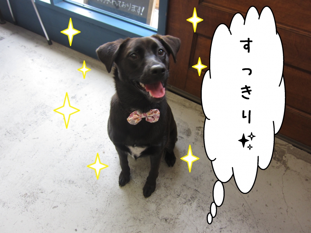 すっきりミックス