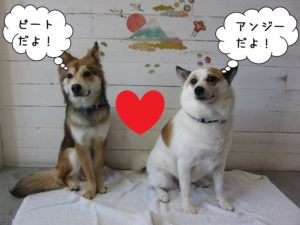 仲良しミックス