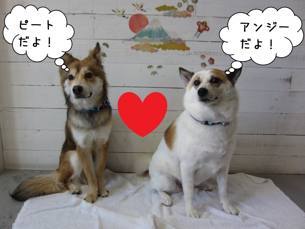 仲良しミックス