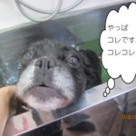 おすましミックス