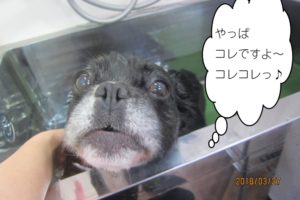 おすましミックス