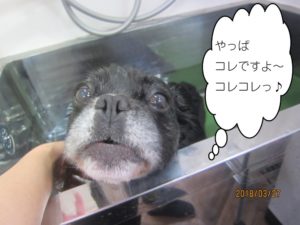 おすましミックス