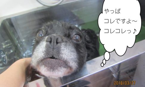 おすましミックス