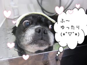 スパ中ミックス