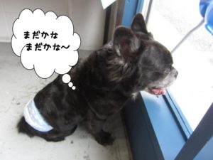 施術後ミックス