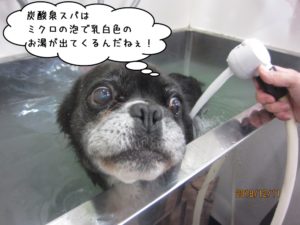 スパ中ミックス