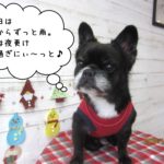 おすましクリスマスミックス