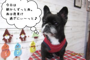 おすましクリスマスミックス