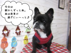 おすましクリスマスミックス