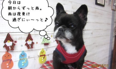 おすましクリスマスミックス