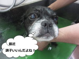 スパ中ミックス