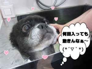 スパ中ミックス