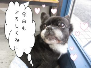 施術後ミックス