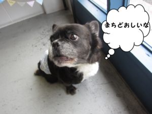 施術後ミックス