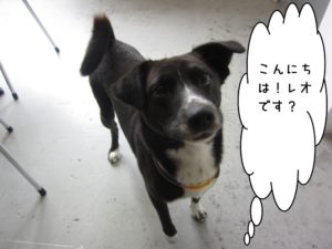 施術前ミックス