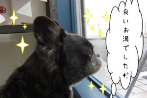 窓際横顔ミックス