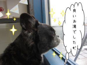 窓際横顔ミックス