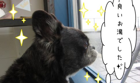 窓際横顔ミックス