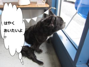 施術後ミックス