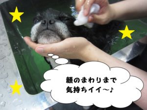 スパ中ミックス