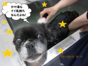 スパ中ミックス