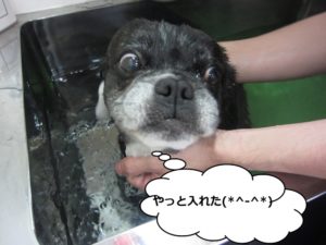 スパ中ミックス