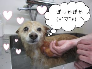 スパ中ミックス