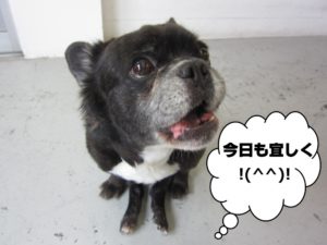 施術前ミックス