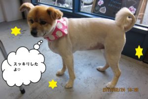 おすまし横顔ミックス