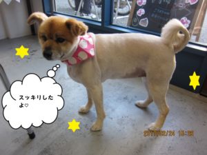 おすまし横顔ミックス