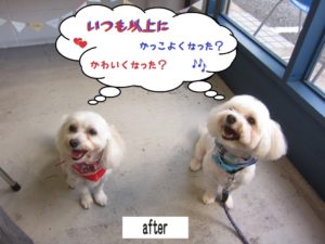 二人笑顔マルチーズ