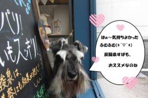 おすましMシュナ