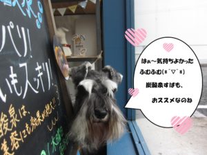 おすましMシュナ