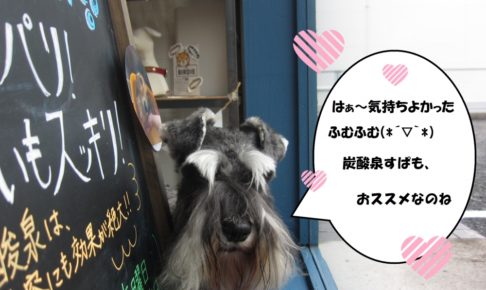 おすましMシュナ