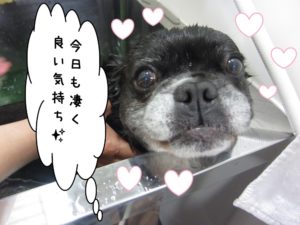 スパ中ミックス