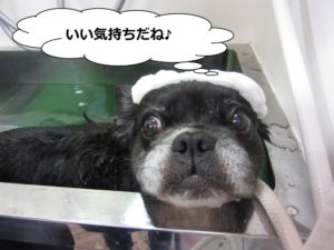 スパ中ミックス