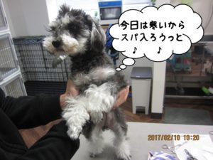 カット前Mシュナ