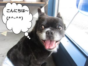 施術後ミックス