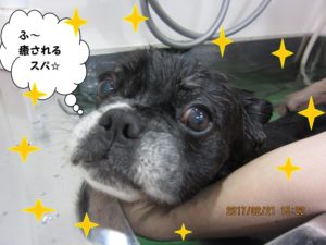 スパ中ミックス