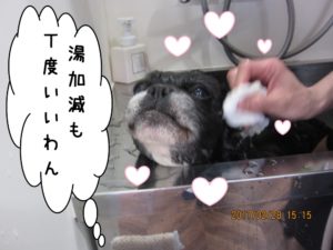 スパ中ミックス