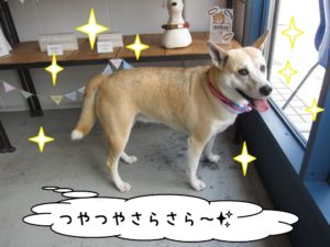 施術後ミックス