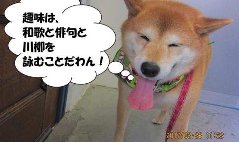 笑顔柴犬