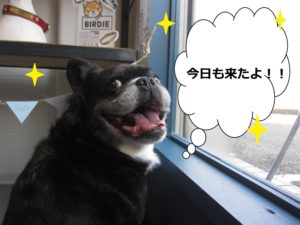 施術後ミックス