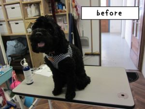 カット前ミックス