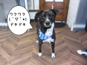 施術後ミックス