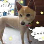 おすましミックス