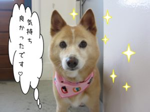 おすましミックス