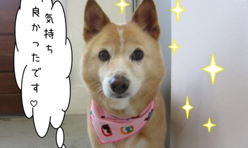 おすましミックス