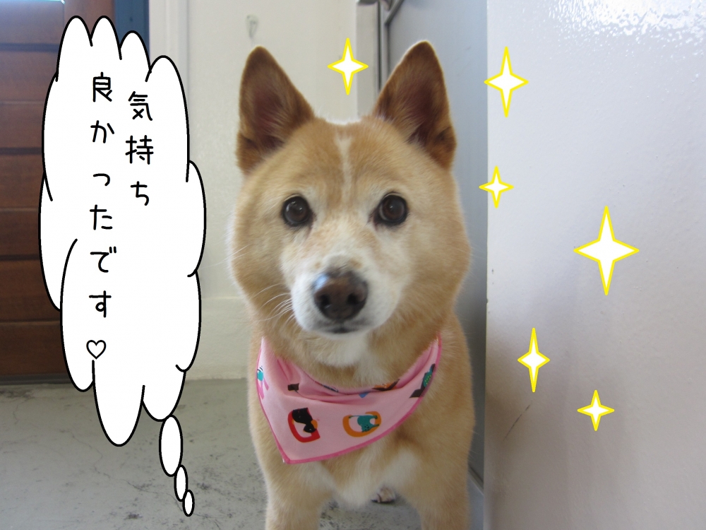 おすましミックス