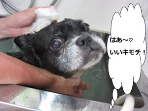 スパ中ミックス